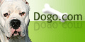 Dogo.com is a site by and for Dogo lovers! Here, you'll find lots of useful information about this powerful breed, as well as a Photo Gallery, contact information to Dogo Breeders, Dogo Rescue Organizations and more.
