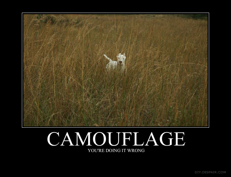 Tosc�o and the rainbow