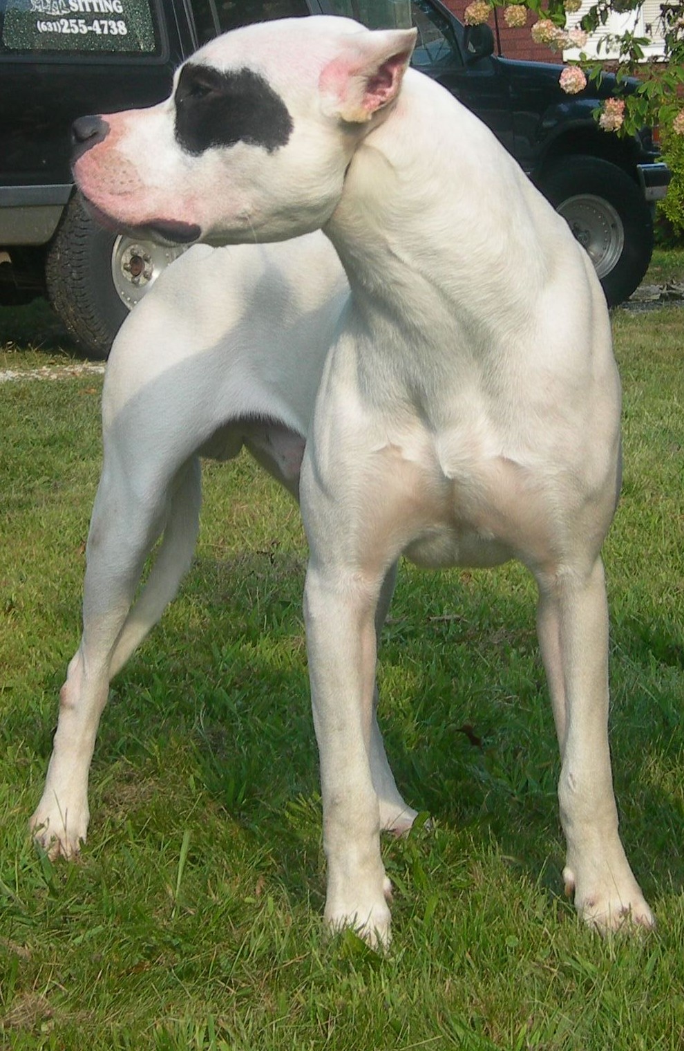 His head speaks for itself!