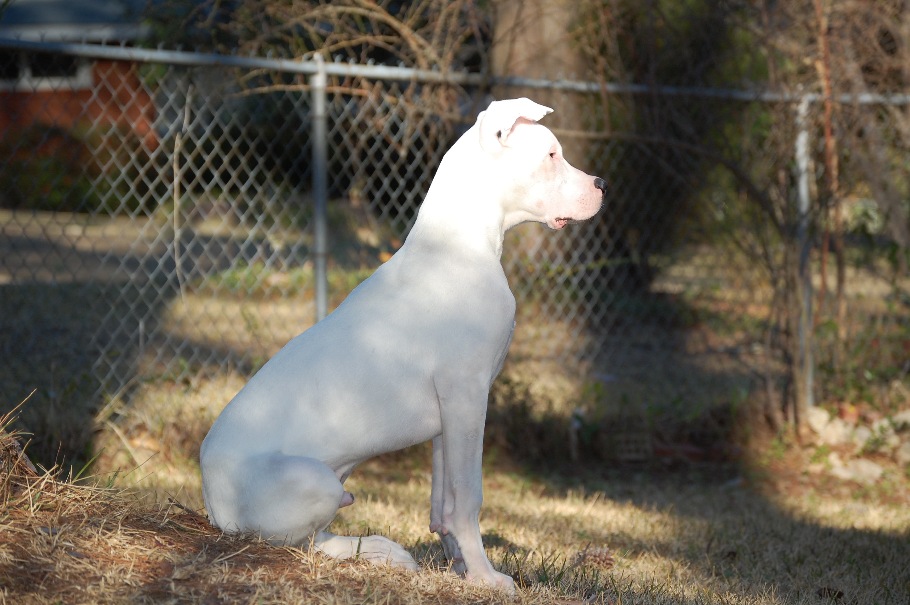 Just taking pictures on a warm winter afternoon in the backyard.
