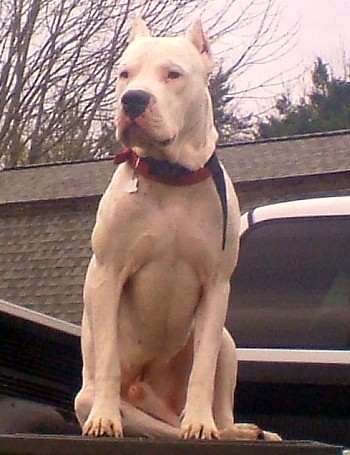 Waiting for dad to say GO