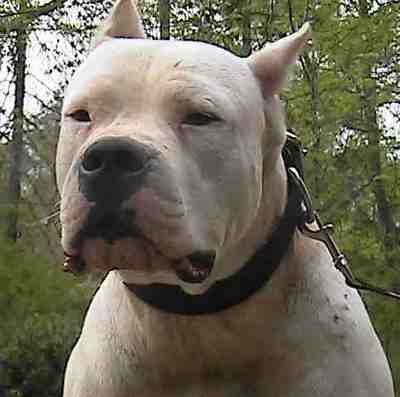 I now your not talkin to me!