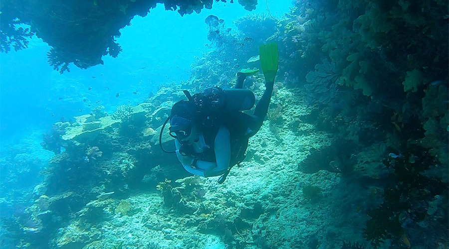 scubadiving story body