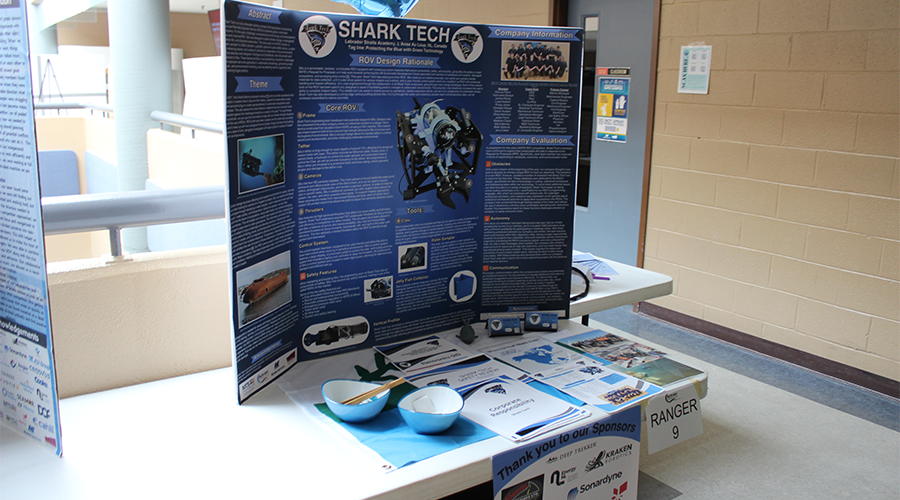 Labrador Marketing Display